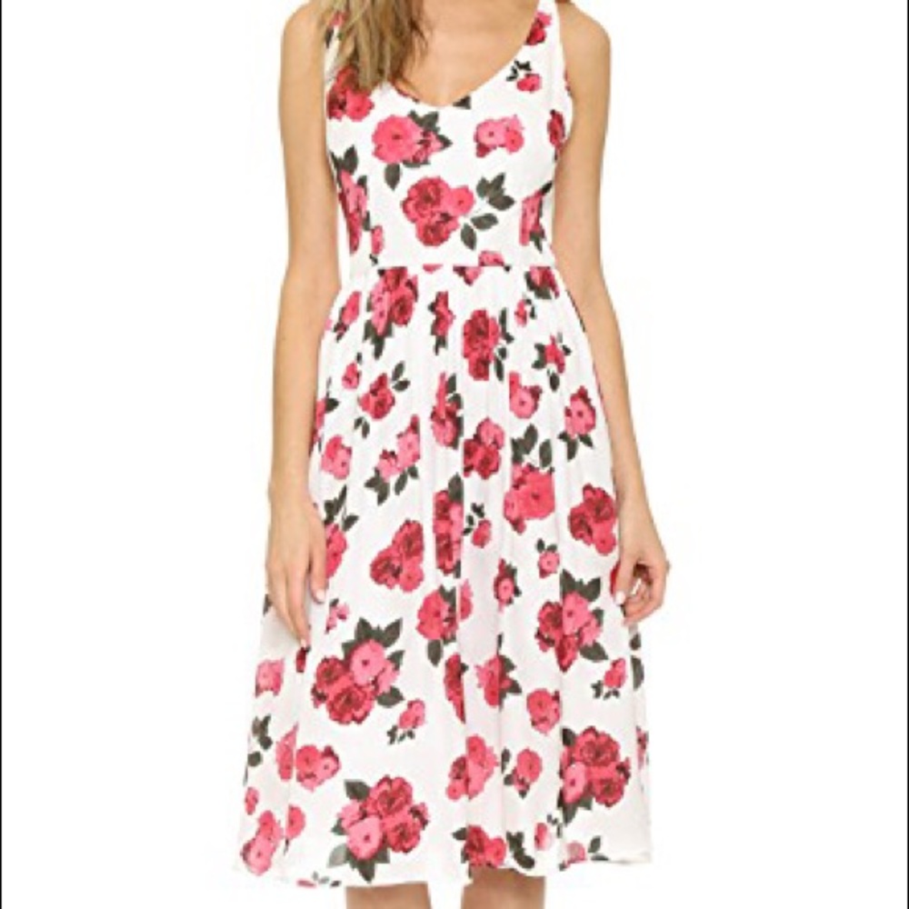 BB Dakota rose printed midi dress